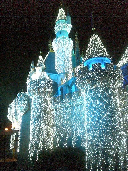 Dems love goin to Disneyland.