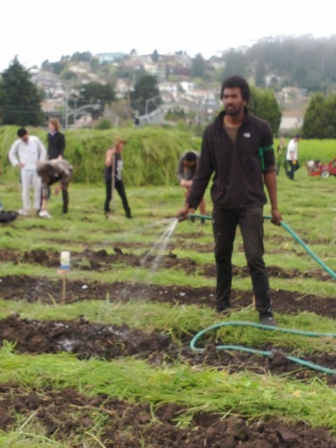 Watering at Occupy the Farm