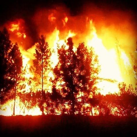 The rim fire