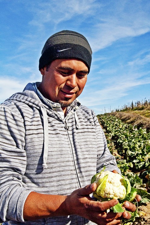 Ground Stew Farms Sergio Jimenez, whose produce will be featured at the Food Day pop-up in Old Oakland. Ground Stew Farms Sergio Jimenez, whose produce will be featured at the Food Day pop-up in Old Oakland.
