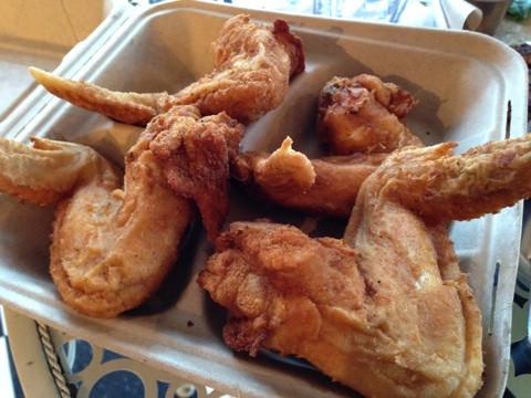 Pterodactyl wings. Pterodactyl wings.