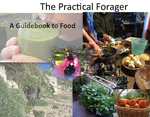 practicalforager.jpg