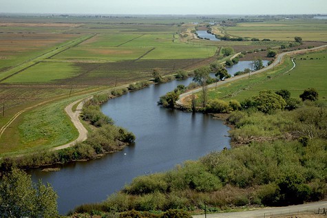 The Delta.