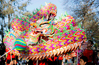 Dragon dance. Dragon dance.