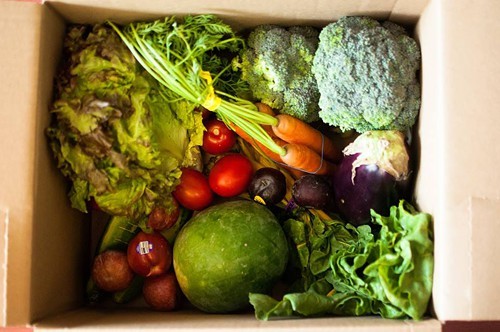 The Box (via Berkeley Student Food Collective) The Box (via Berkeley Student Food Collective)