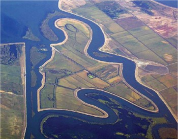 Brown wants to build tunnels underneath the delta.