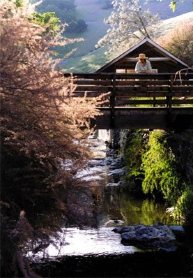 Wilbur Hot Springs before the fire.