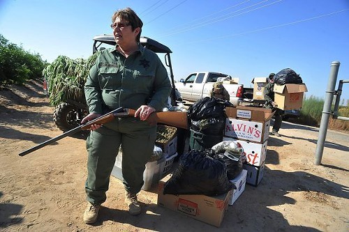 Marijuana eradication coming to Martinez backyards