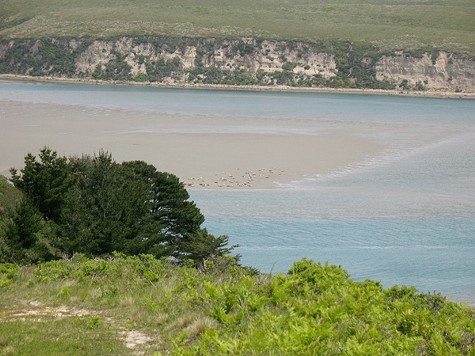 Drakes Estero.
