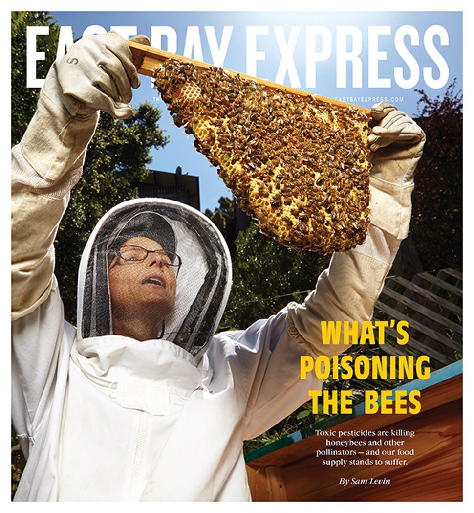 whats_poisoning_the_bees.jpg