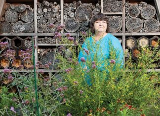 Best Garden Whiz and Butterfly Savior: Victoria ‘Tora’ Rocha