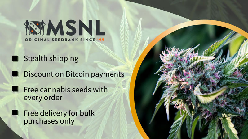 msnl