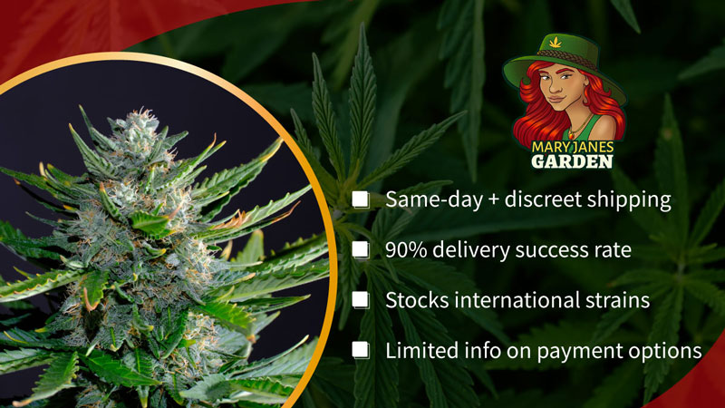 mary jane's garden