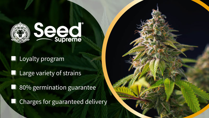 seed supreme