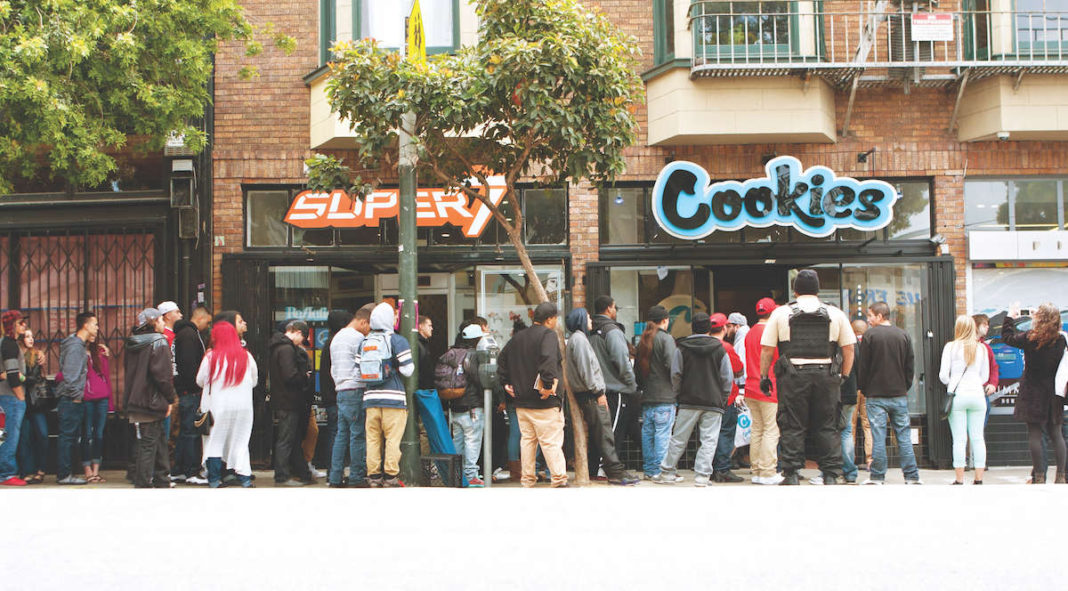 Cannabis in 2023: Progress, Setbacks and Scandals