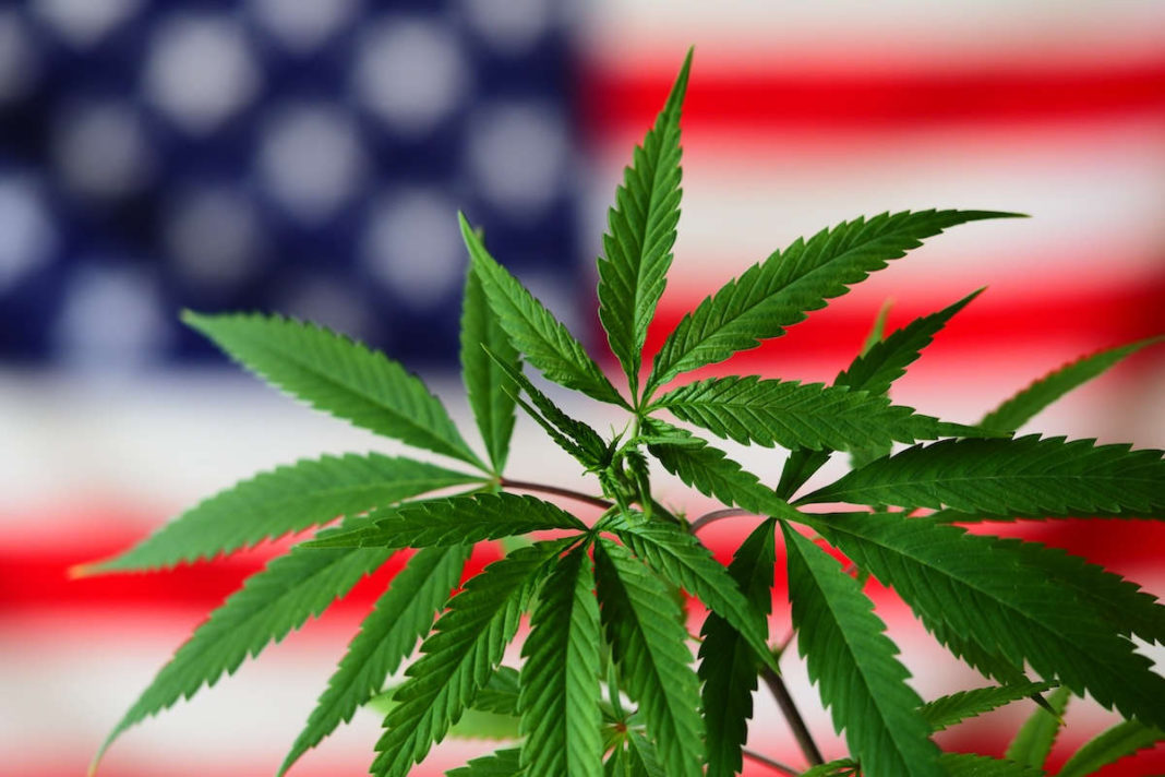 Without federal legalization, hemp products remain in limbo