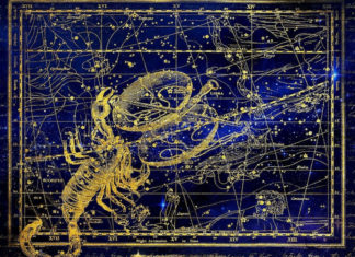 Free Will Astrology: Week of Nov. 19 Free Will Astrology: Week of Nov. 12