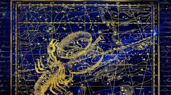 Free Will Astrology: Week of Nov. 19 Free Will Astrology: Week of Nov. 12