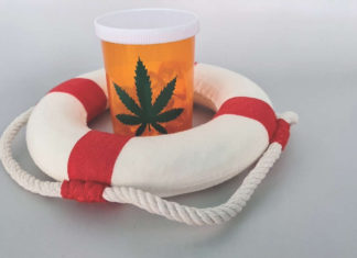 How does cannabis affect opiate addiction? How does cannabis affect opiate addiction?